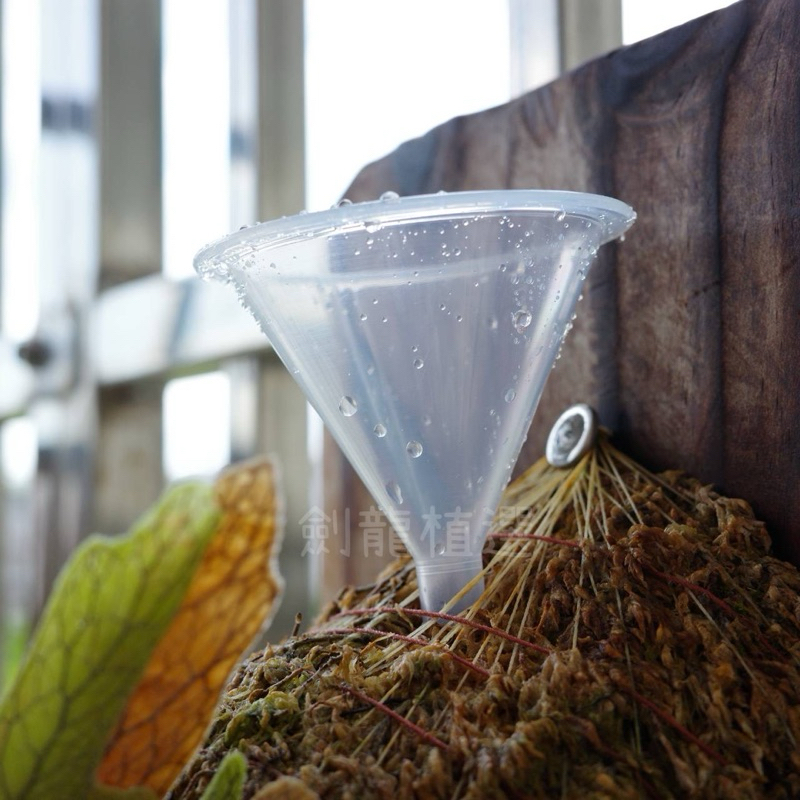劍龍植選 植物小漏斗 滴水漏斗（助內部吸水） 小漏斗 肥料漏斗 肥料盒 斜管漏斗 鹿角蕨漏斗 蝦皮購物 