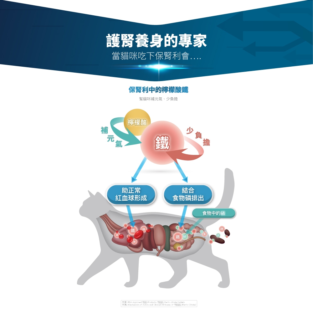 Product image 【木入森】貓咪保腎利 (30顆)｜貓腎臟保健食品｜減少磷滯留｜腎臟保健 穩定排尿 促進食慾 6