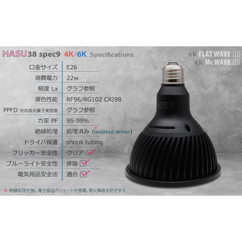 総合ショッピングサイト HaruDesign HASU 38 spec 9 6K 2個 | www