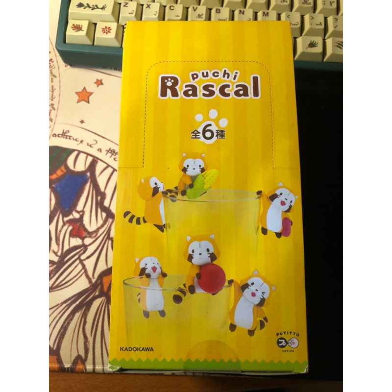 小浣熊 Rascal 杯緣子 一中盒 | 蝦皮購物