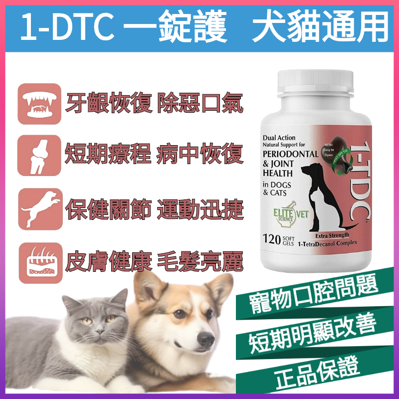 ✈️台灣當天發貨🔥公司貨 正品代理 120顆 美國1-TDC 一錠護 犬貓通用 120粒/瓶 貓狗口腔護理 寵物關節保健