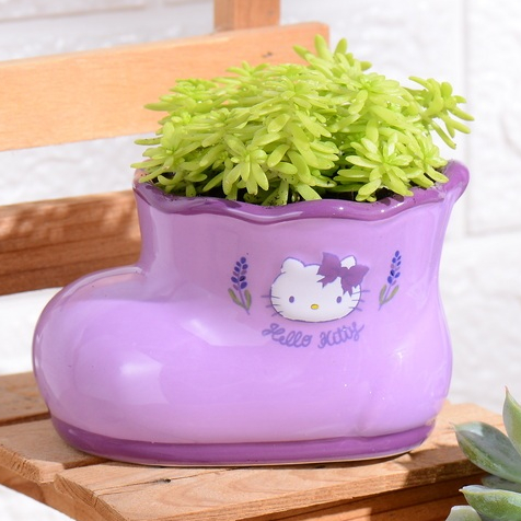 Sanrio三麗鷗】Hello Kitty 陶瓷花器-5款| 蝦皮購物
