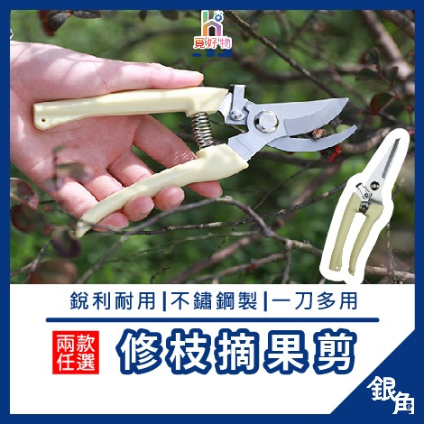 【台灣現貨】修枝剪 剪刀 高枝剪 園藝 果樹剪 花枝剪刀 粗枝剪刀 樹枝剪 剪定鋏 花剪 修花剪刀 | 蝦皮購物