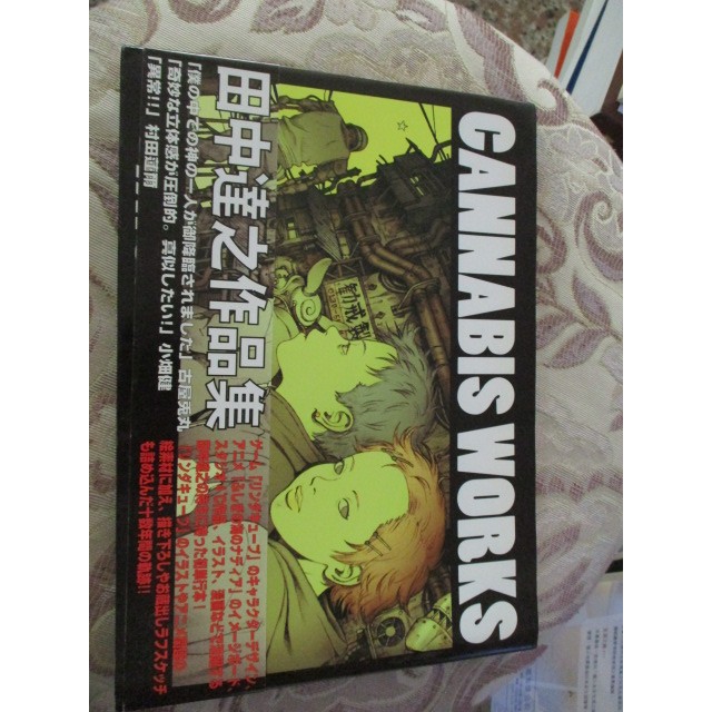 113/1飛鳥新社 田中達之作品集 CANNABIS WORKS 有書腰2007年(9784870315679)