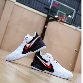 新品 NIKE 押し戻し LEBRON XX EP HORSEMEN 25.5cm 