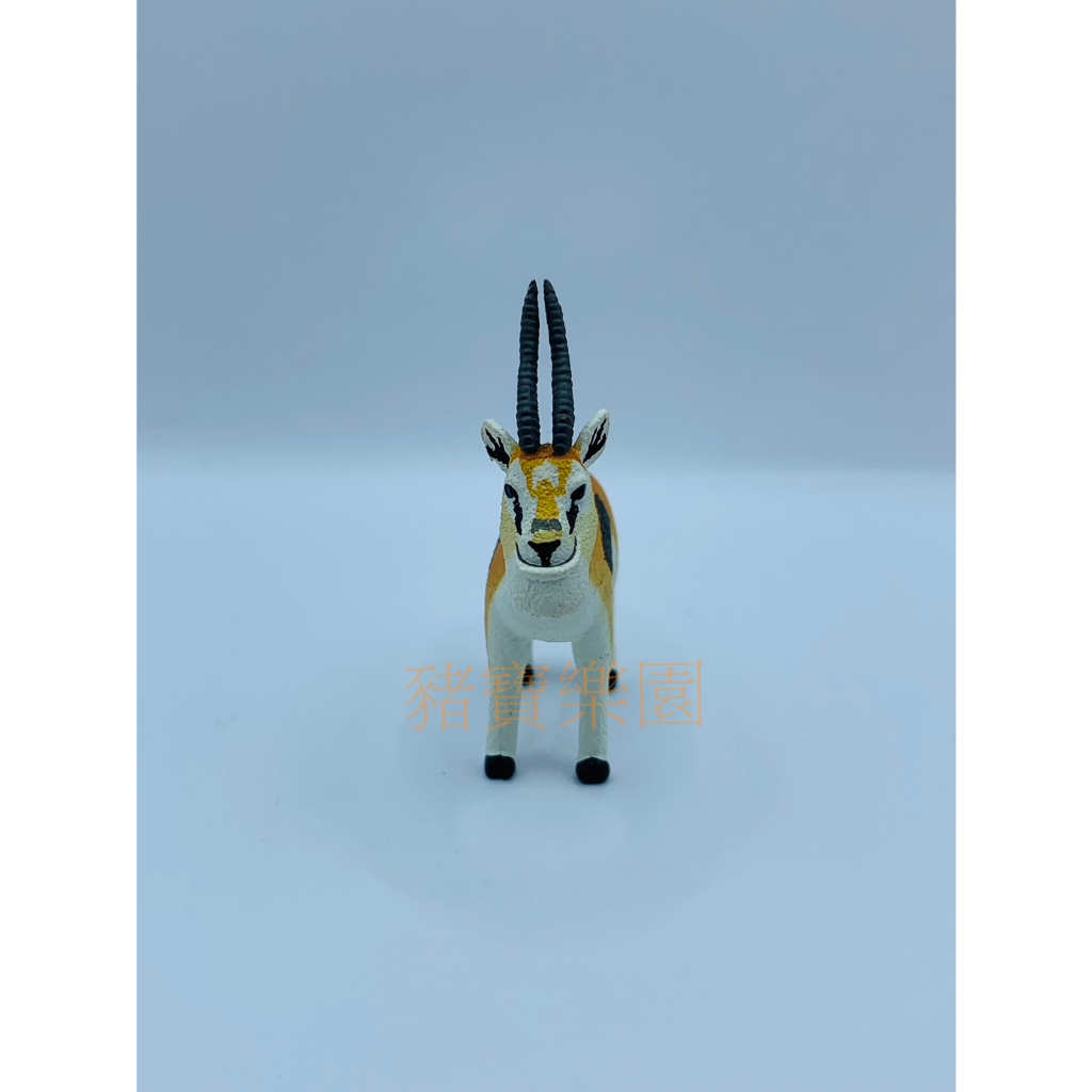 豬寶樂園】現貨絕版日版熊貓之穴厚道動物4 P4 厚道星球戽斗動物河馬嶝羚浣熊海龜海獺扭蛋轉蛋| 蝦皮購物