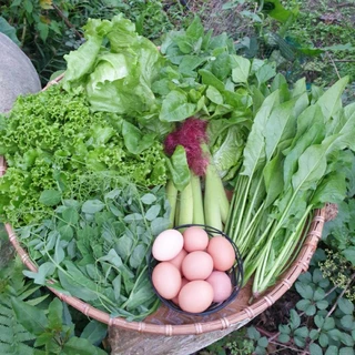 花蓮友善耕作蔬菜箱 (時蔬葉菜類-野菜*7包+放牧雞蛋*10顆+南瓜*2個)