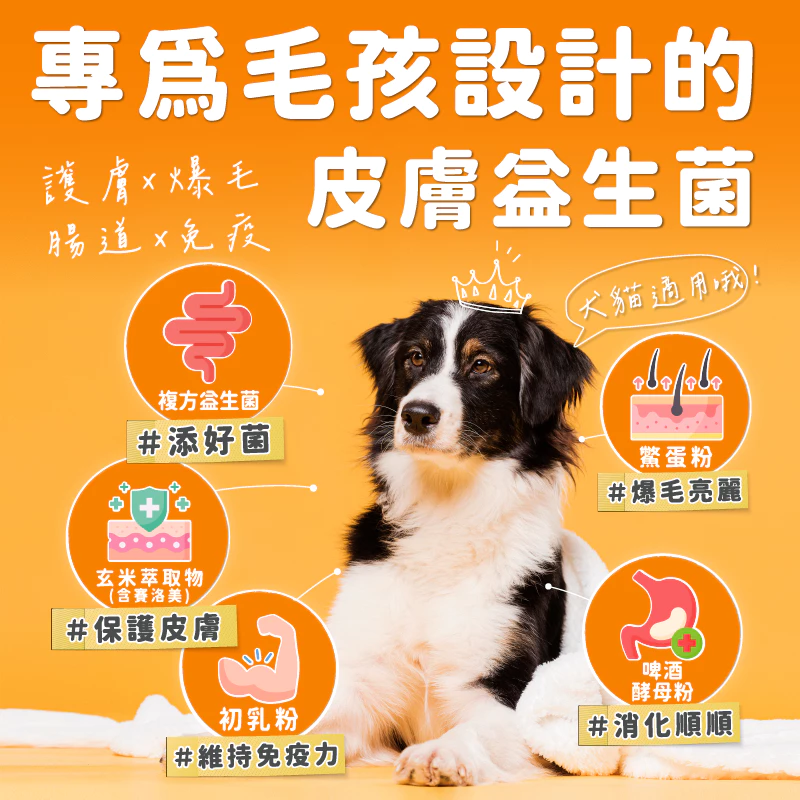 6款超人氣狗狗益生菌推薦!解決毛小孩腸胃問題的最佳選擇 6款超人氣狗狗益生菌推薦!解決毛小孩腸胃問題的最佳選擇