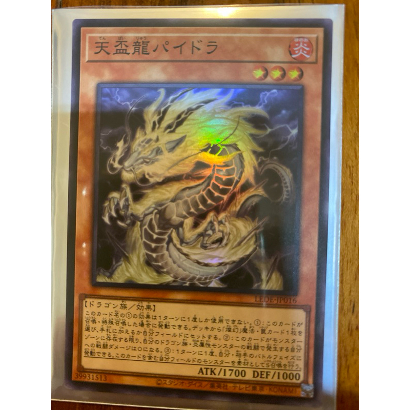 亮面-天盃龍白板龍-LEDE-JP016 | 蝦皮購物