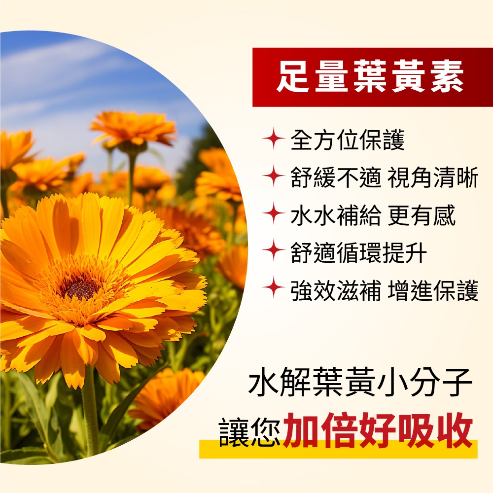 🏥每天兩次視力清晰了！名醫推薦效果好🔥散光近視明目液【日本