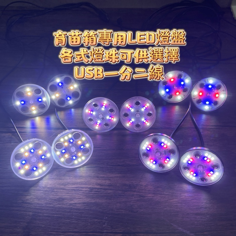 LED燈盤 育苗箱 悶箱專用燈盤 8燈珠 16燈珠 20燈珠 type-c micro-usb 一分二線紅藍光 自然光 | 蝦皮購物
