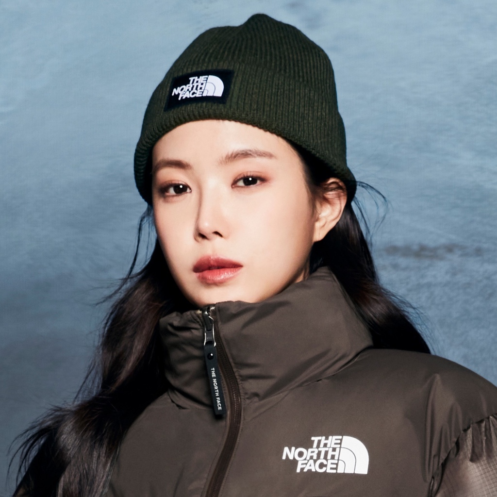 The north face 2025 beanie hat