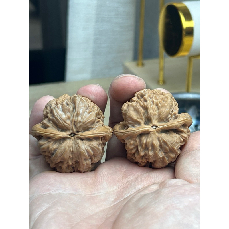 台灣現貨］華北將軍膀文玩核桃| 蝦皮購物