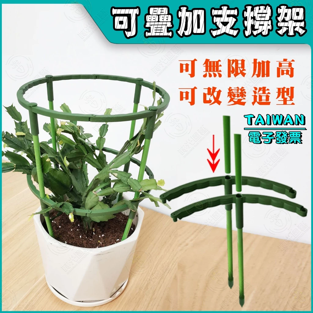8款實用好看的多肉植物架子推薦!打造專屬綠意角落 8款實用好看的多肉植物架子推薦!打造專屬綠意角落