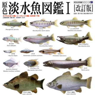 ♯Fzi21Kb原色淡水魚ストラップシークレット入フルコンプ全12種