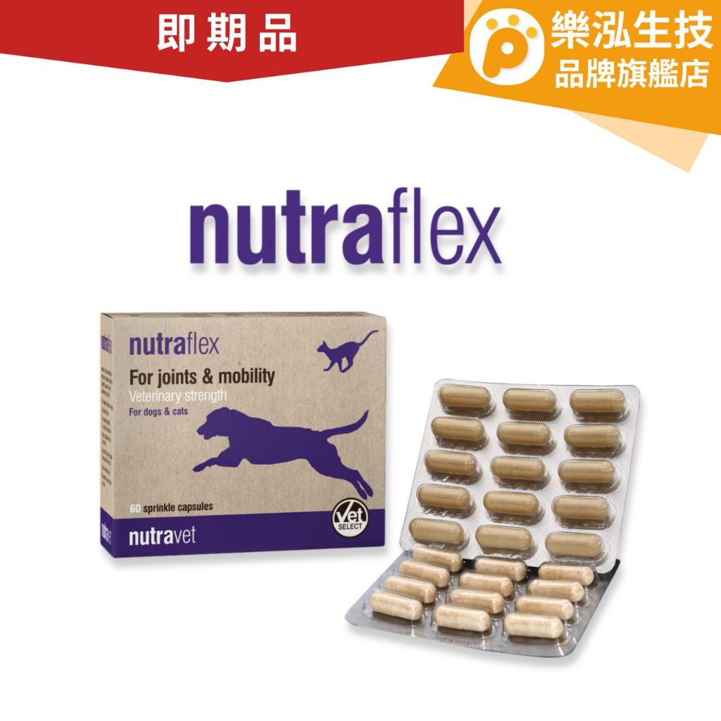 Nutraflex 樂寵 - 飛力勁 犬貓專用 高強度關節保健品 寵物保健〈60顆/盒〉 【樂泓生物科技】 | 蝦皮購物