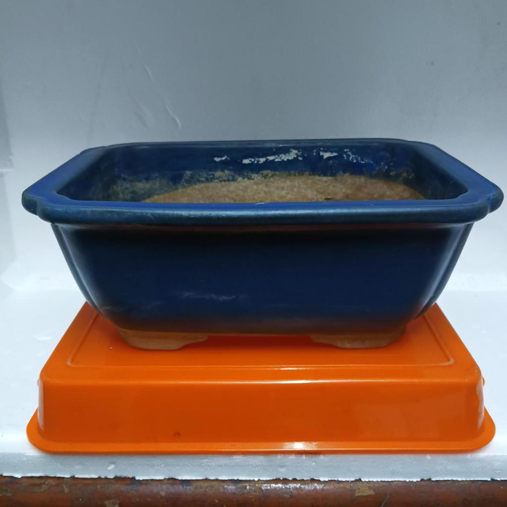 【早期盆栽容器】藍瓷釉陶盆-樹盆-花盆-多肉盆(公) | 蝦皮購物