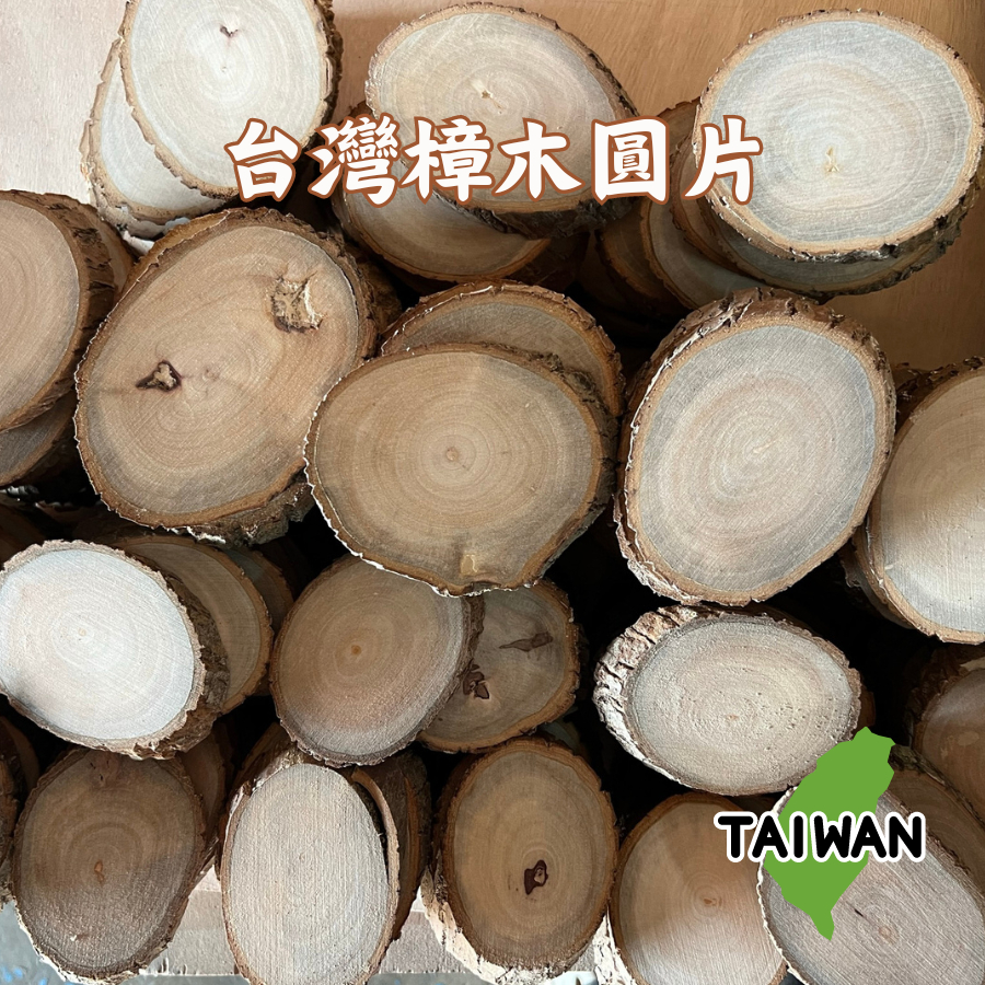 台灣 樟木 木片 年輪 原木片 切片 木板 香木 香樟 防蟲 除溼 雕刻 木頭 木片 杯墊 DIY 手工材料 鸚鵡 | 蝦皮購物