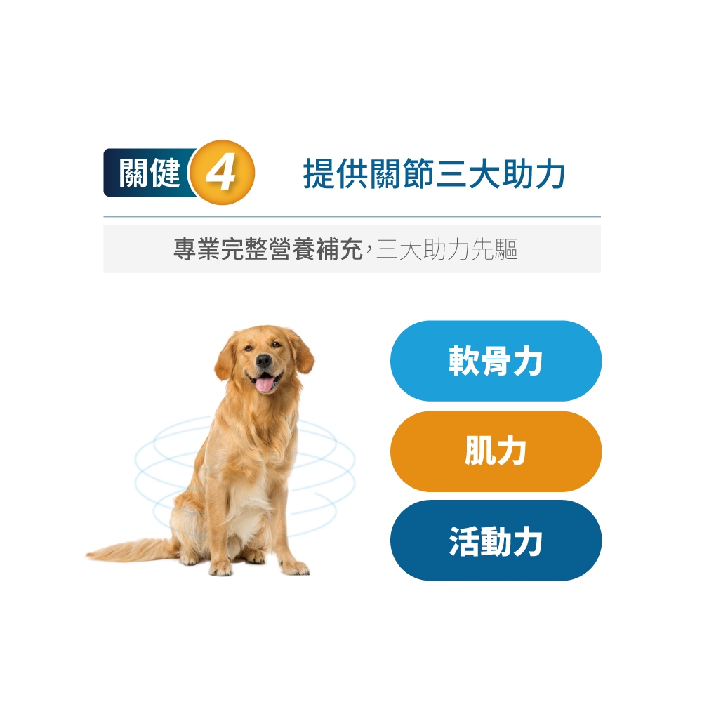 Product image 【木入森】犬寶有關膝 (60顆)｜狗狗關節保健食品｜胜肽膠原蛋白 玫瑰果萃取｜給予狗關節保護力 7