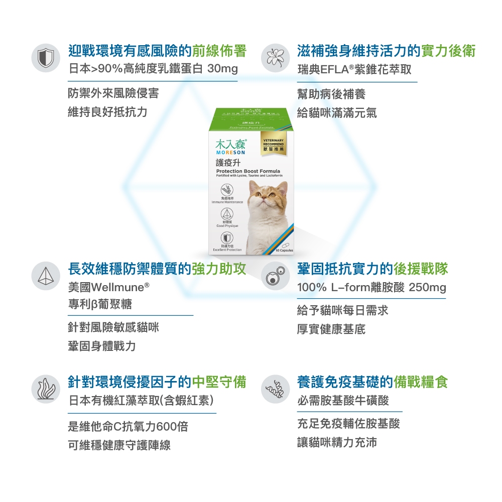 Product image 【木入森】貓咪護疫升 (60顆)｜貓咪免疫力保健食品｜離胺酸 牛磺酸 蝦紅素｜適合老貓 挑食貓 7