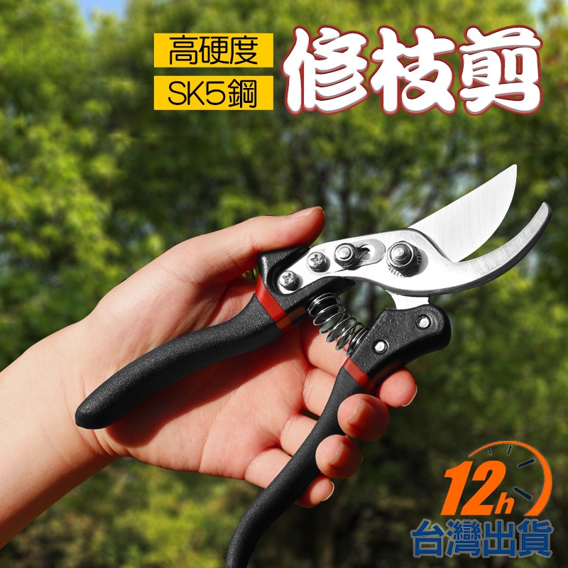 【台灣12h出貨】園藝剪刀 修枝剪 粗枝剪刀 剪定鋏 花剪 高枝剪 檳榔剪刀 採果剪 農用剪 安全鎖扣設計 現貨 發票 | 蝦皮購物