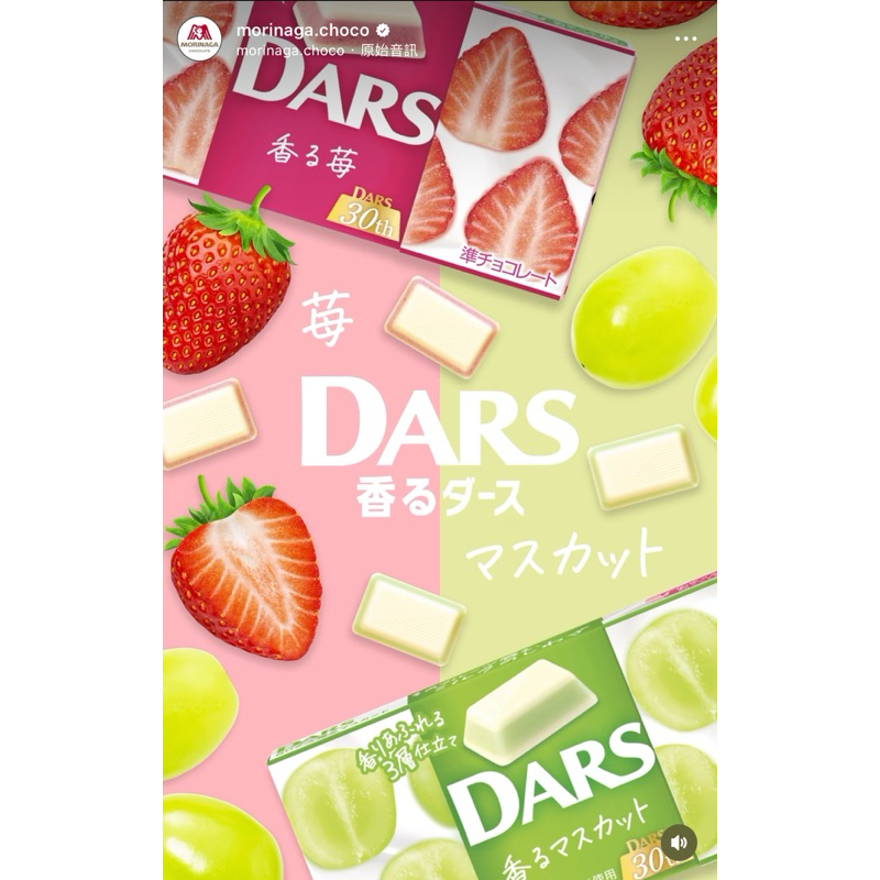 DARS ミニチュアチャーム - その他