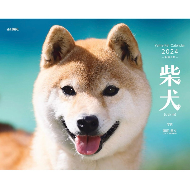 限量柴犬- 優惠推薦- 2023年12月| 蝦皮購物台灣
