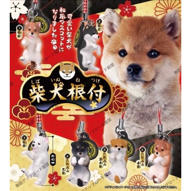 預購』4月柴犬根付吊飾Tarlin 扭蛋轉蛋【蛋樂寶】 | 蝦皮購物