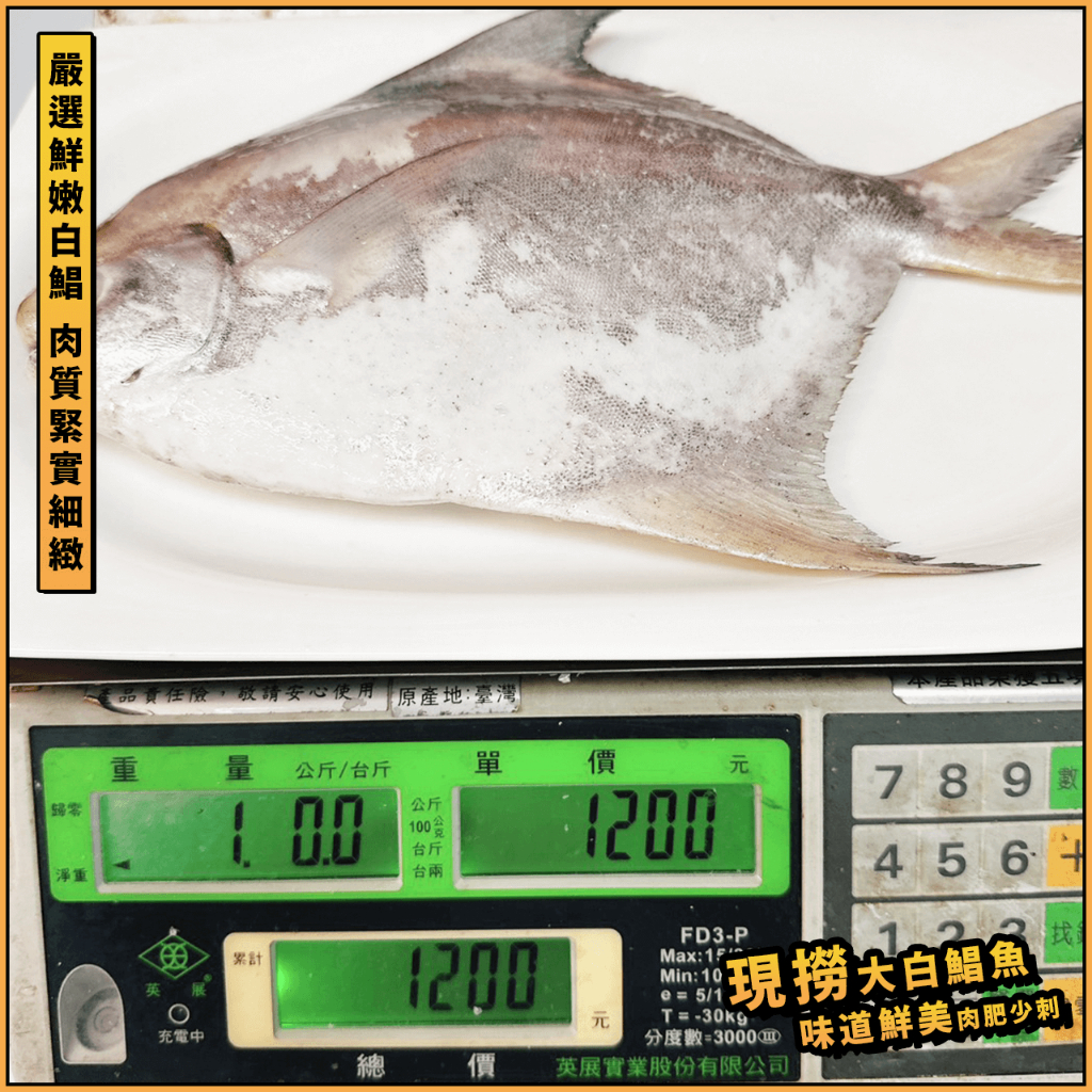 【鮮煮義美食街】現撈5/6 6/7 11/12大鯧魚／正野生白鯧／白昌／正白鯧 ／年菜首選／年節推薦／鮮嫩肉肥／開運年菜 | 蝦皮購物