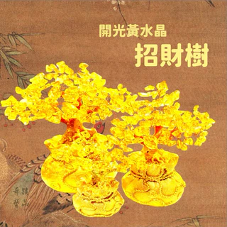黃水晶發財樹｜優惠推薦- 蝦皮購物- 2025年9月