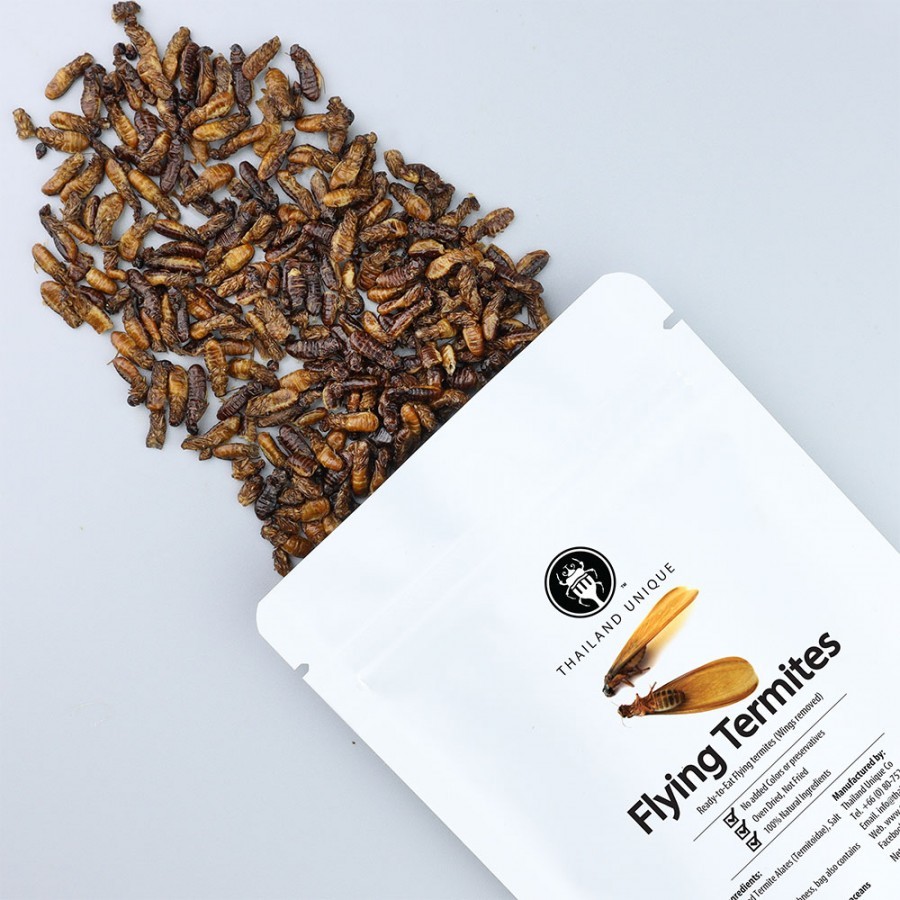 🪲泰國 蟲餅 Thailand Unique 食用【白蟻】🪲Edible Flying Termites Alates | 蝦皮購物