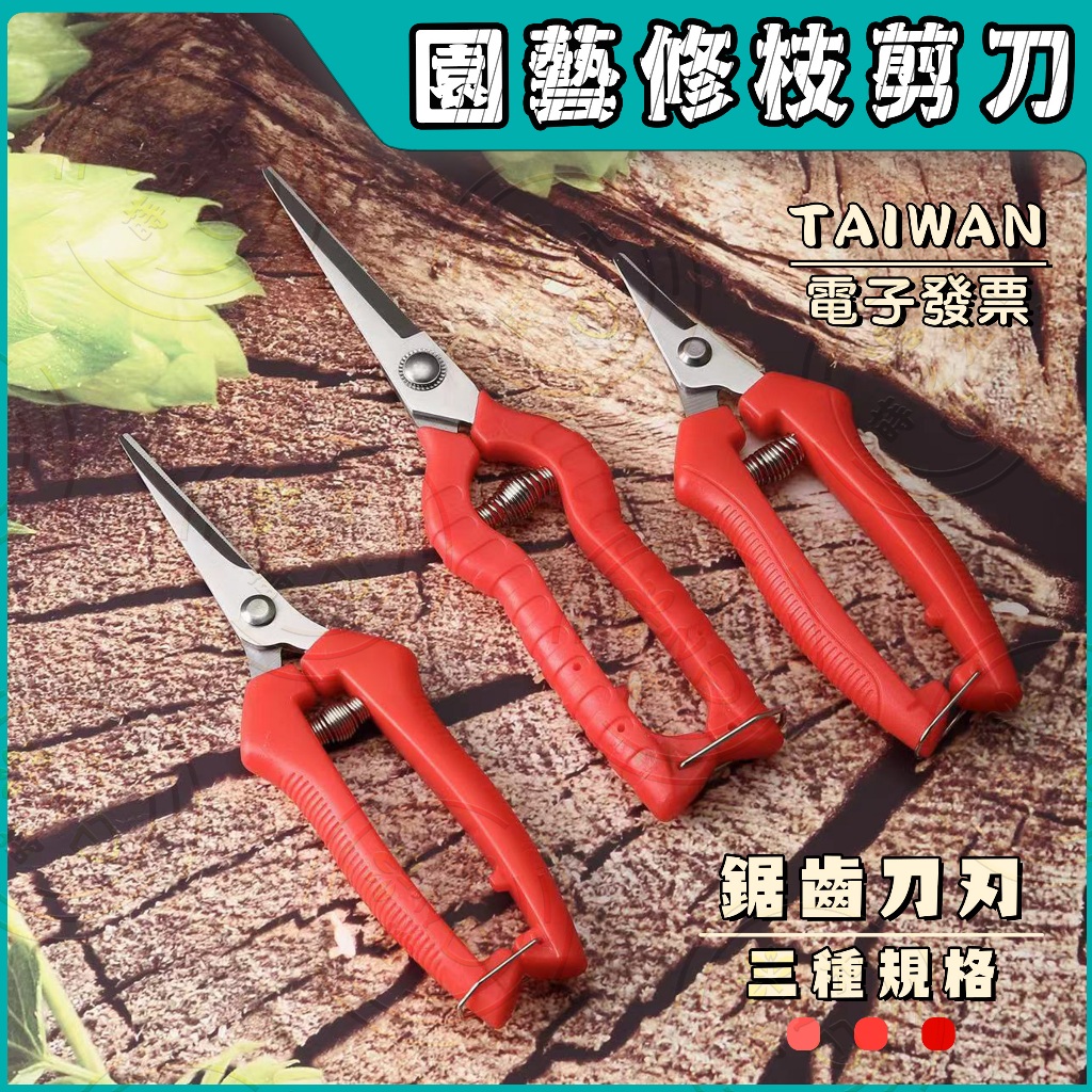 園藝修枝剪刀🔥三種尺寸🔥園藝剪刀 疏果剪 摘果剪刀 稀果剪 樹枝剪刀 花卉剪刀 修枝剪 剪刀 花枝剪刀 園林剪刀 | 蝦皮購物
