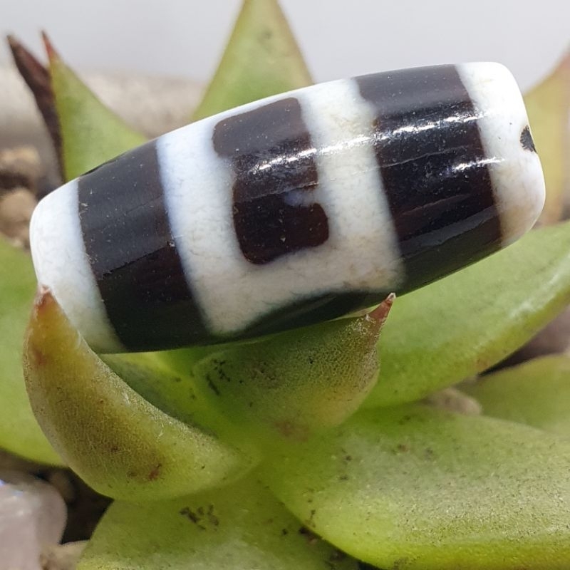 Zi0513天珠藏區回流手工扁珠。水紋三眼27.3×14×11.2，天地天珠