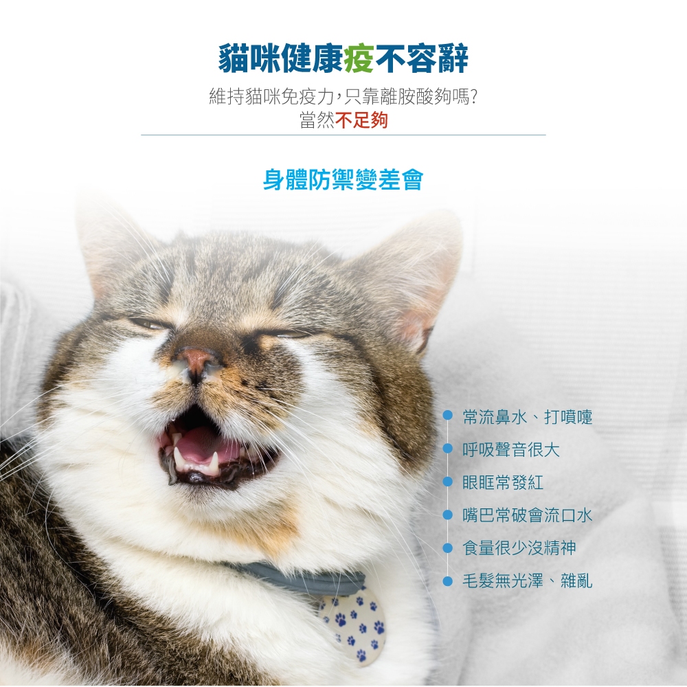 Product image 【木入森】貓咪護疫升 (60顆)｜貓咪免疫力保健食品｜離胺酸 牛磺酸 蝦紅素｜適合老貓 挑食貓 3