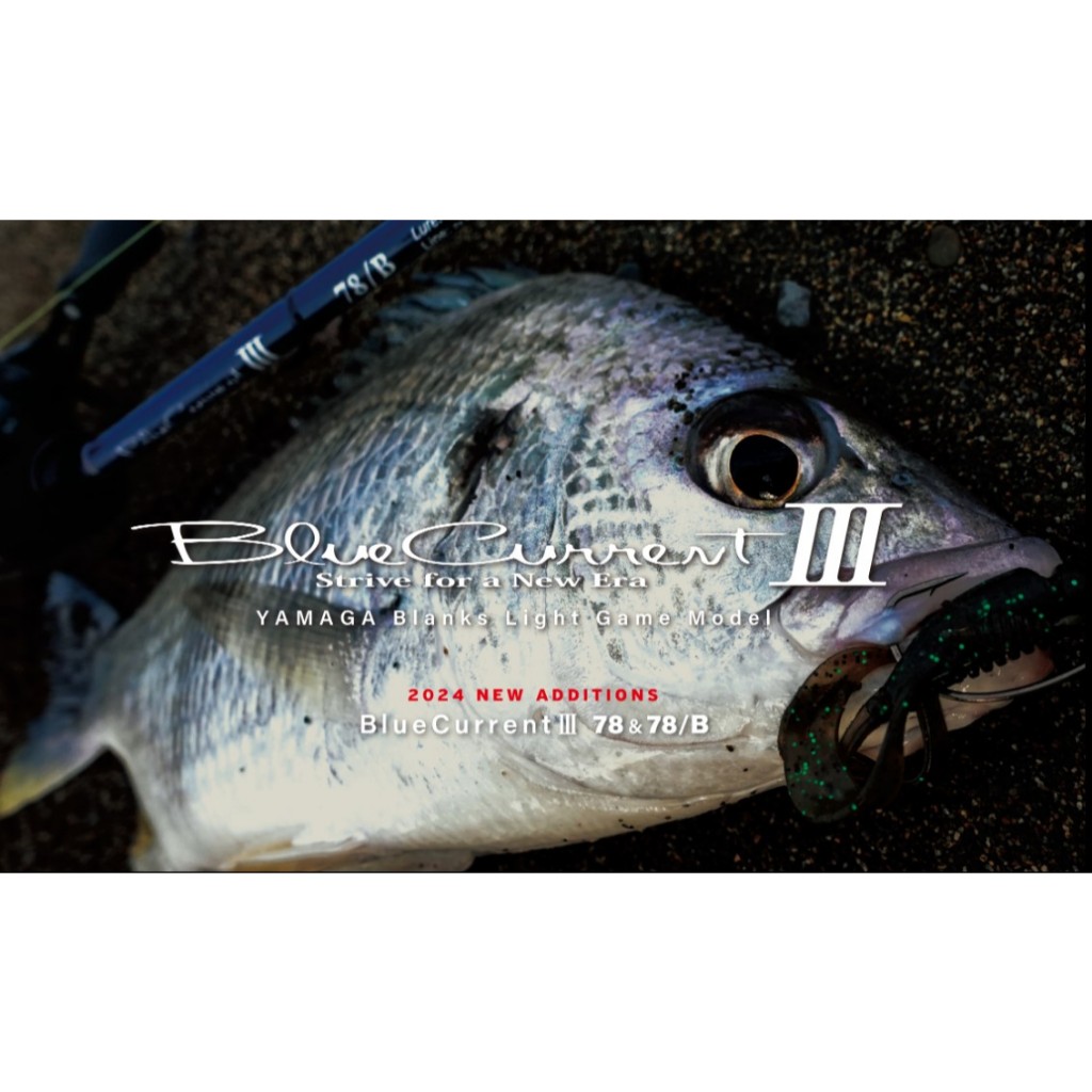 d464013真鮒竿 長き 3.3*7袋灰銘印研出し