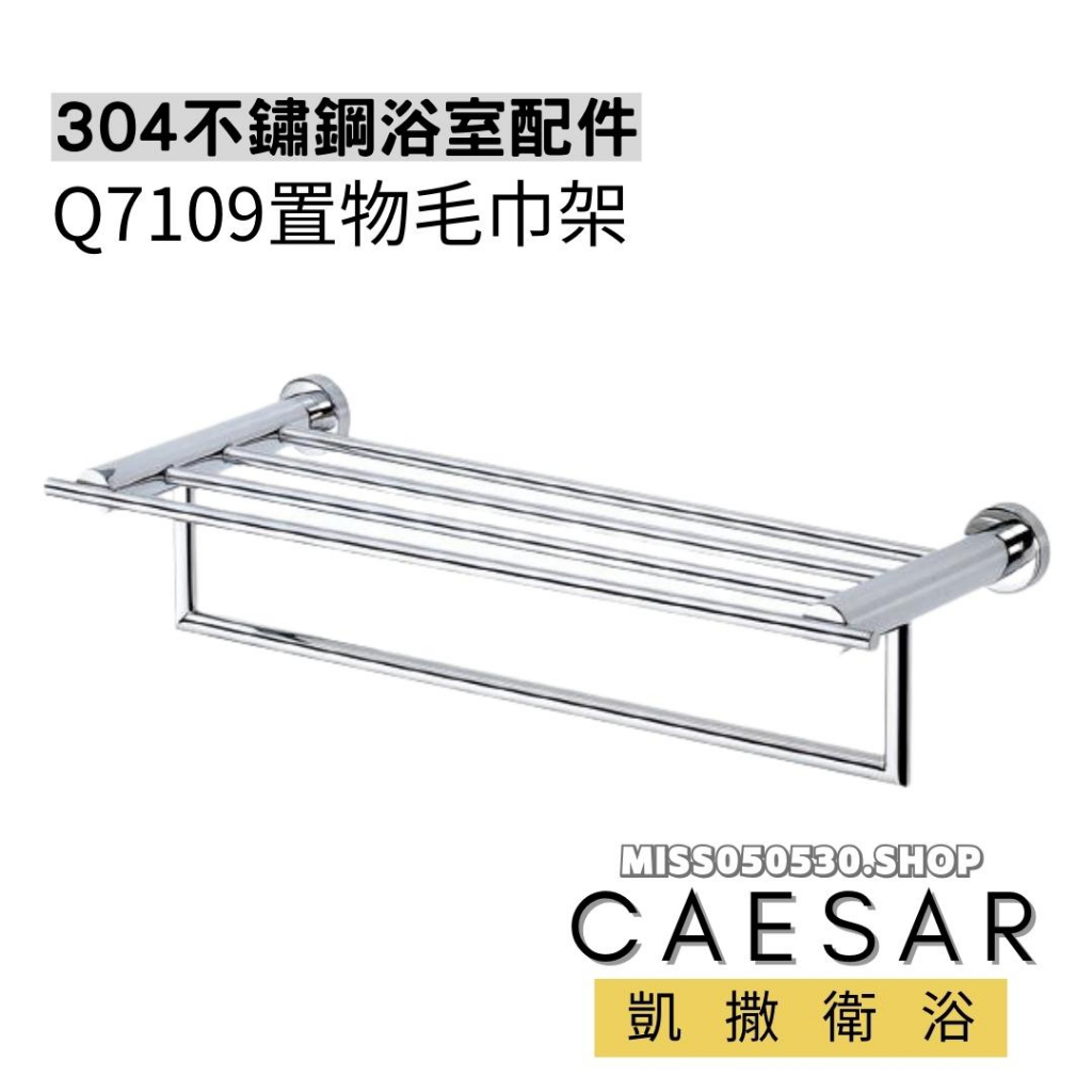 Caesar 凱撒衛浴置物毛巾架Q7109 置物架置衣平台置衣架置物平台浴巾架