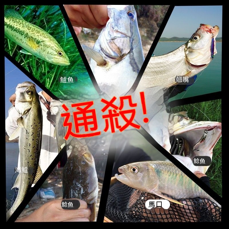 釣友俱樂部】全水域小烏龜水滴輪10.1高速比金屬漁輪專攻鱂魚遠投