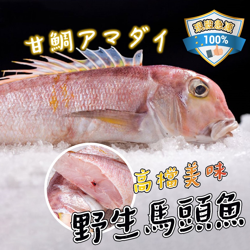 【帥哥魚】💖野生手釣💖甘鯛馬頭魚 手釣金面馬頭 白馬頭魚 金面馬頭 野生馬頭 馬頭魚 甘鯛 紅馬頭魚 方頭魚 白馬頭