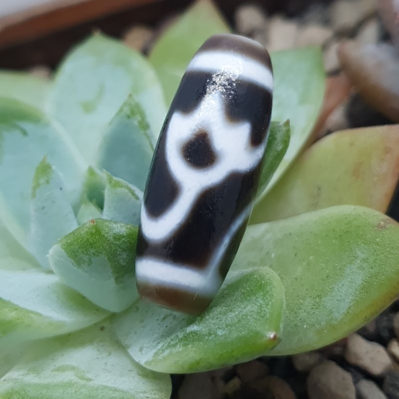 DZ1126A水紋，蓮花。寶瓶，金鋼2眼菩提，如意，虎牙兩眼，天地，特殊3