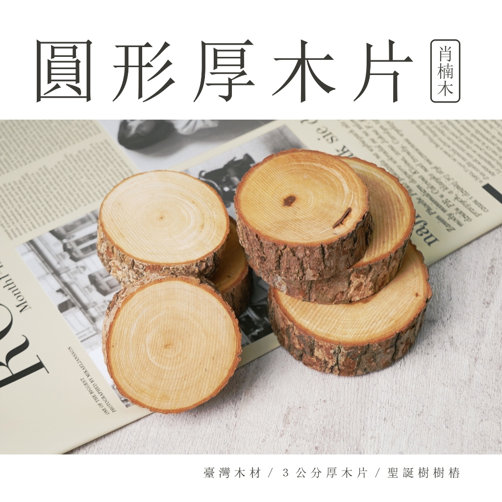 【台灣現貨速發】圓木片 厚木片 台灣樟木片 聖誕樹樁｜乾燥素材 木材 聖誕節 | 蝦皮購物