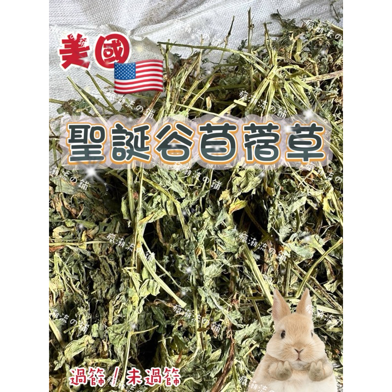 🔥瘋潮流の舖（火速出貨）美國優選特級 聖誕谷苜蓿草 提摩西 兔子 牧草 兔子飼料 天竺鼠🍃10🈷️到港 | 蝦皮購物