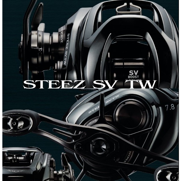 Daiwa 24'STEEZ SV TW100 100/L/H/HL/XH/XHL 各種型號☆日本直送免運費