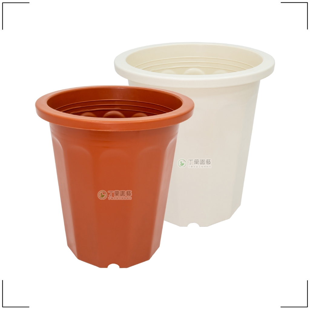 大白桶【7寸、8寸、9寸、1尺、1尺2】| 角桶盆白角桶栽培盆塑膠盆高盆