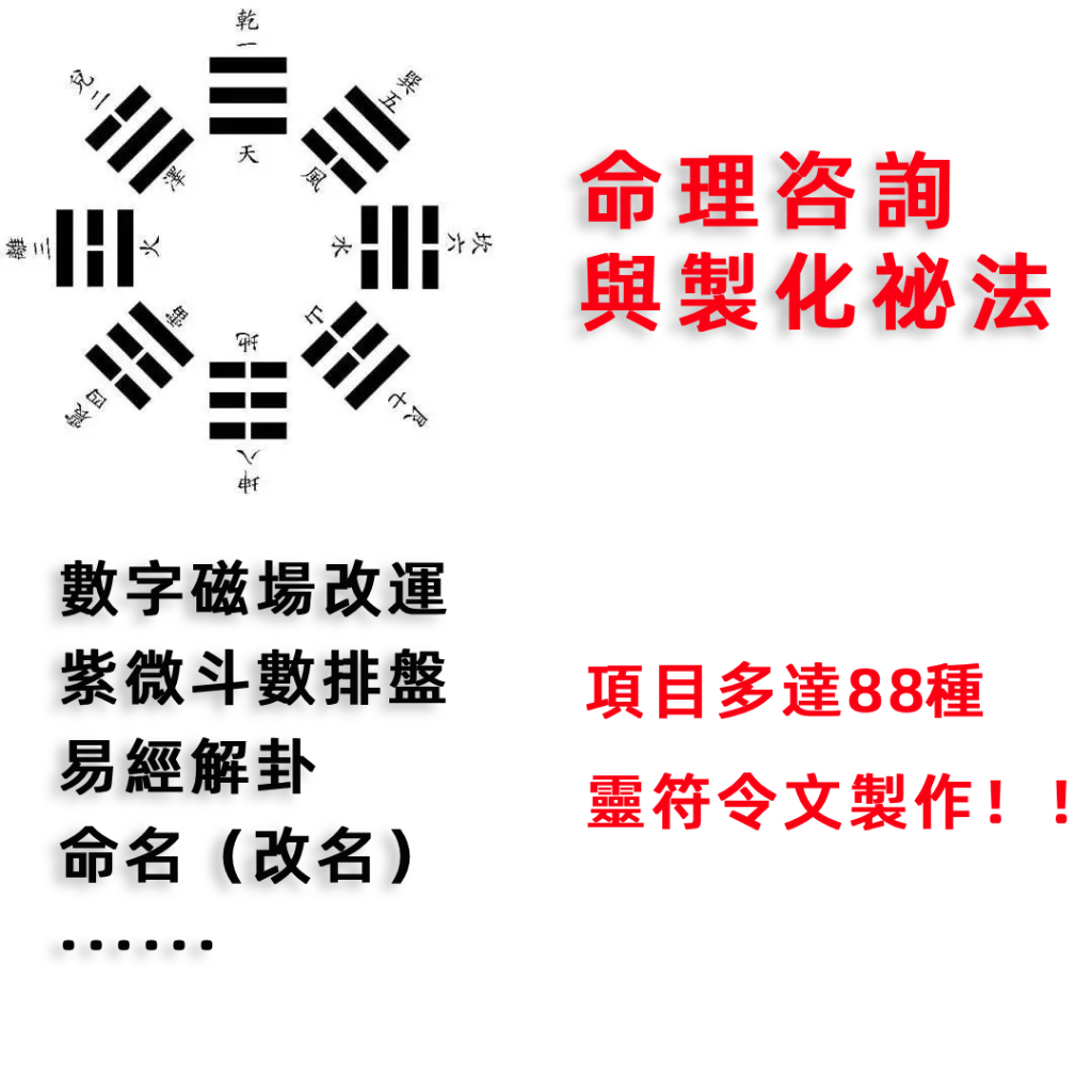 命理咨詢與製化祕法——項目含：數字磁場改運 紫微斗數排盤 易經解卦 命名（改名） ···等88種命理項目，可做靈符令文 | 蝦皮購物