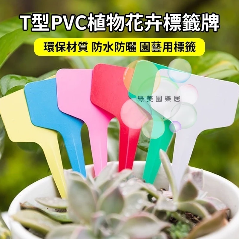 T型花牌 多肉標籤 植物名牌 園藝標示牌
