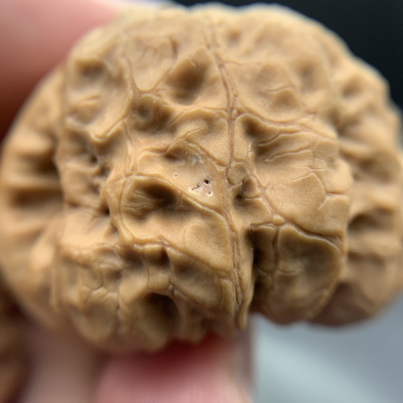 文玩核桃高端小眾文玩核桃達摩42有瑕疵| 蝦皮購物