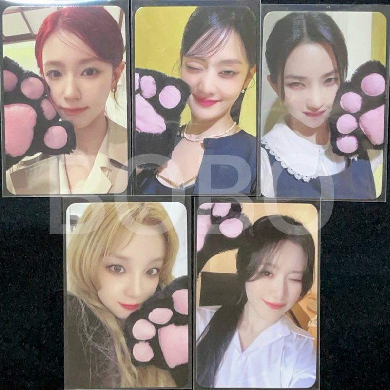 G)I-DLE SR2.0官方特典中文卡背貓爪薇娟米妮minnie小娟雨琦舒華小卡
