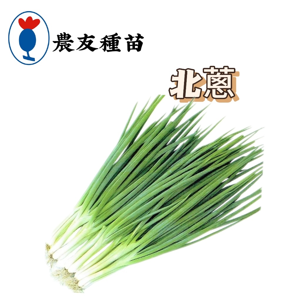 北蔥 北蔥種子 【農友種苗】北蔥種子 蔬菜原包裝種子 約200粒/包 新鮮種子 | 蝦皮購物