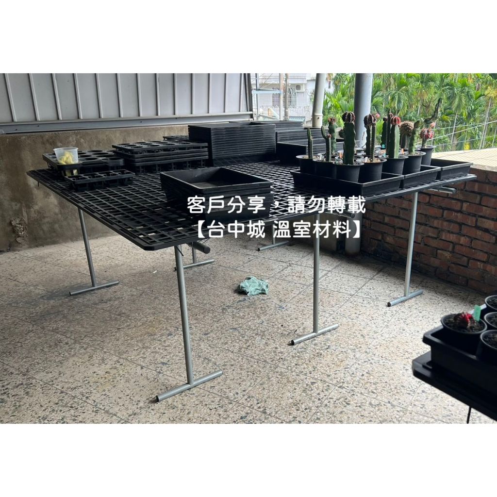 6尺*6尺單層植床架》花床架育苗架植床架花架陽台花架單層架苗床架 