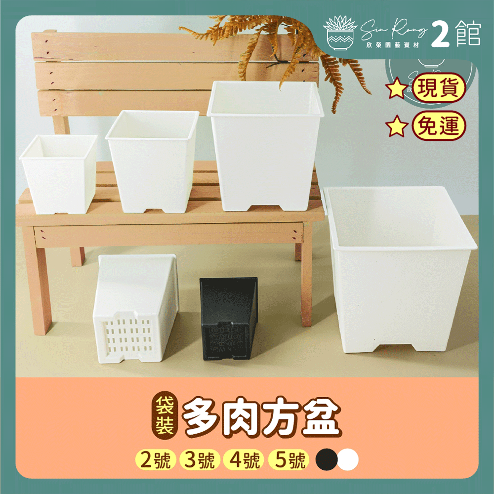 唐木 四方盆 角盆 お盆 時代物 菓子盆 お膳 天然木 茶道具 茶会